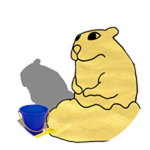 Sand Chomik