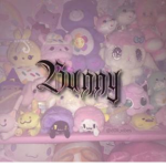‹ bunny ›