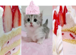 pink sweetie pie