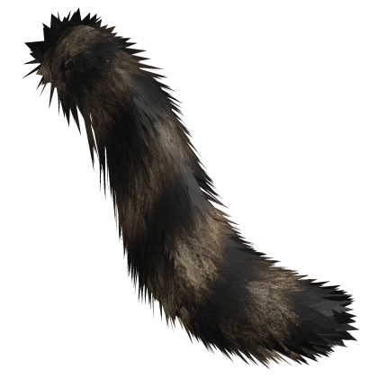 Raccoon Tail thumbnail
