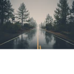RAINS