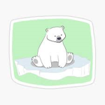 That Polar Bear Community