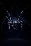 Arachnid Corp.