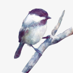 Sparrow Operations