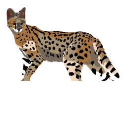 The Savannah