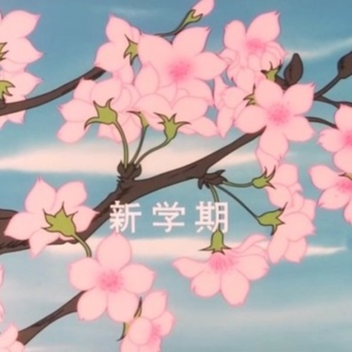 sakura