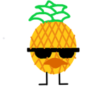 Pineapple duckz group