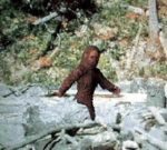 [PF] Forest Dwellers