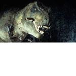T-rex friends group