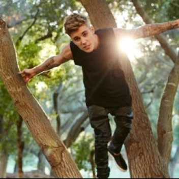 justin bieber forest