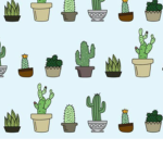 Cactus Fam~