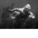 Ocean man you a fishy man