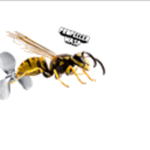 Propeller wasp
