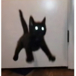 Thshdtvsggfuuc