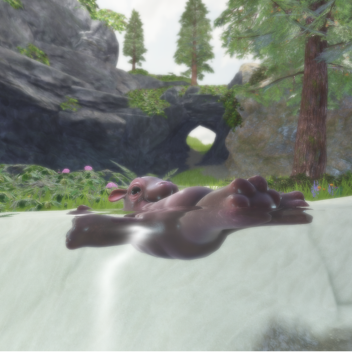 Environment Project