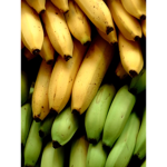 The banana and the lemon group