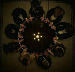 Institute of Witchcraft