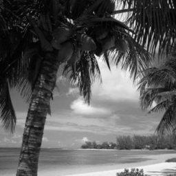 The Outskirts of the Caribbean