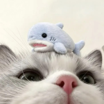 pssthere