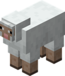 Ultimate Rails