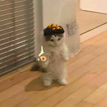 dannlisa
