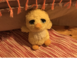 Yellow duck’s
