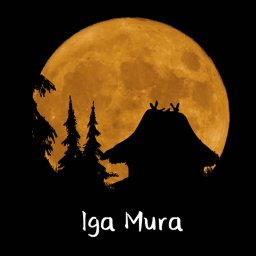lga Mura
