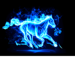 FireluisTeam