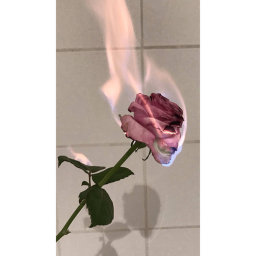 Tiny Flares Obby Zone