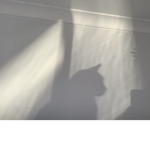 Sirius.