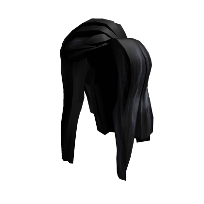 Black Long and Straight Hair Roblox item