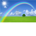 sword battles