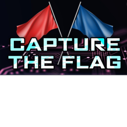 Capture the flag (Sale )