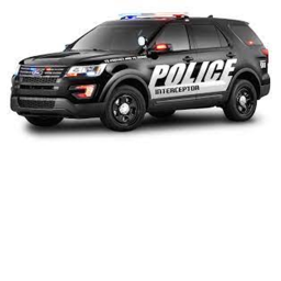 Police  sim