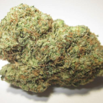 Fungus crunch original