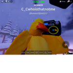 DUCKYS 4 EVER