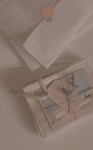 Aesthetickanzie