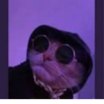 Cat group_offical