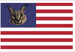 The Floppa Nation