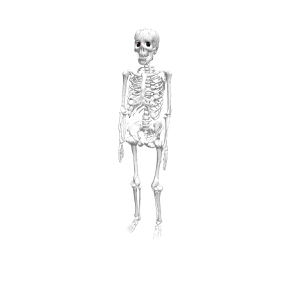 Skeleton Monster