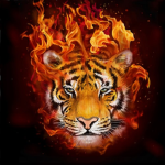 Fire Tiger group