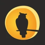 The Night Owl 1986 Group Thumbnail