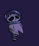 Raccoon Vibe