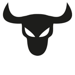 THE BULLS GAME