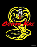 Cobṟa Kai karate group