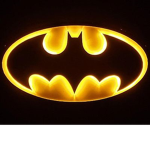 The Hero’s Of Gotham