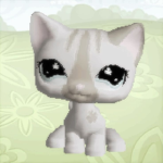 ~•itzkittyreview fan group~•