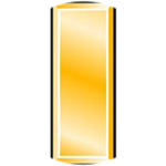 Lieutenant