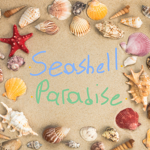 • Seashell Paradise •