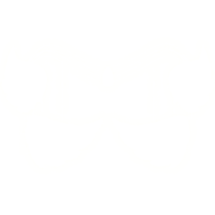 Glowing Angel Wing Tiara Head